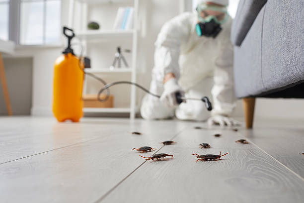Commercial Kitchen Cockroach Control in Ellisburg